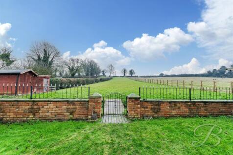 Rear Garden Area