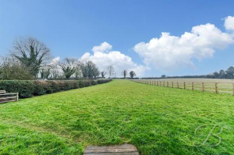 Rear Garden Area