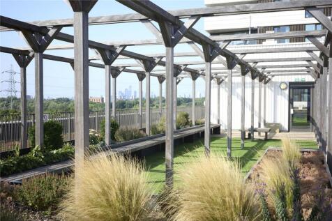 Roof Terrace