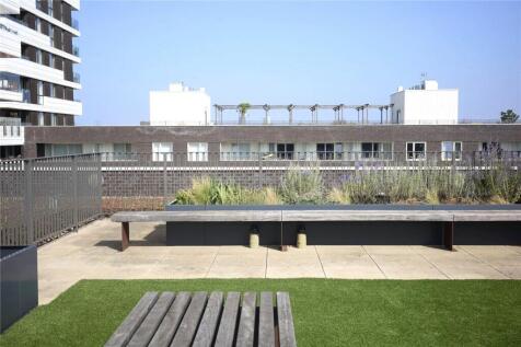 Room Terrace