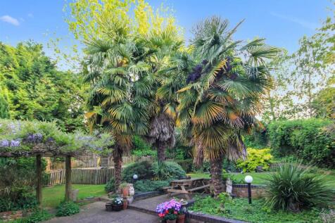 garden 3.JPG