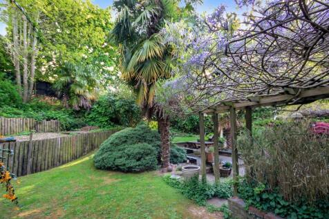 garden 5.JPG