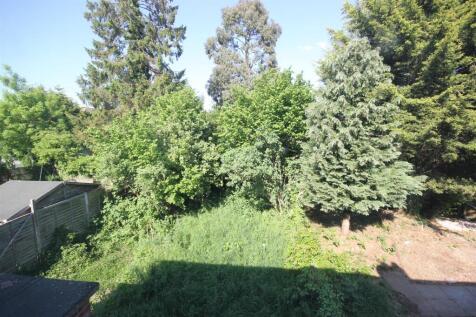 rear garden 2.JPG