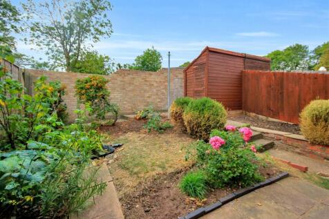 garden 1.JPG