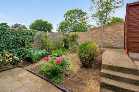 garden 3.JPG