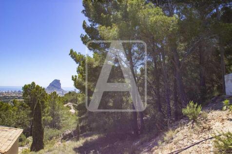 Property Image 8