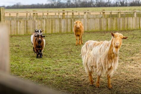 Field View Stables (Fishtoft)-16.jpg