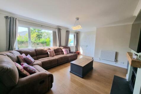 Lounge/Bedroom