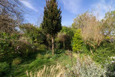 Garden 1.jpg
