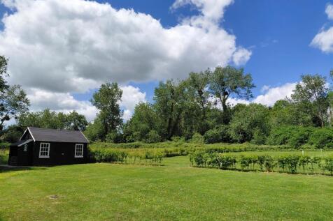 Back garden and paddock.jpg