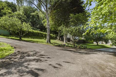 Driveway.jpg