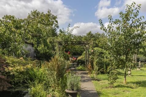 Garden 2.jpg