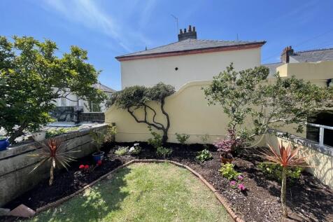 new garden