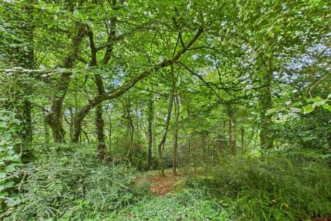 Property Image 53