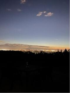 Night Shot
