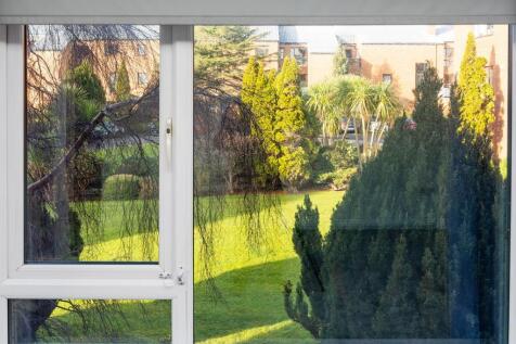 View From Living Rm