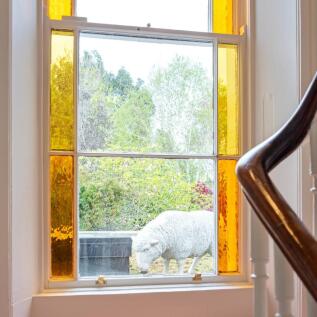 Feature Window