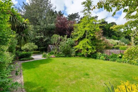 Rear Gdn Glasshouse