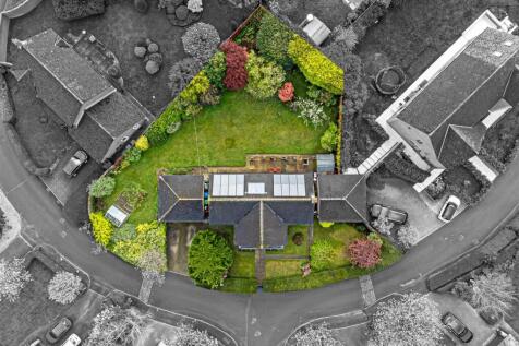 Ariel Shot