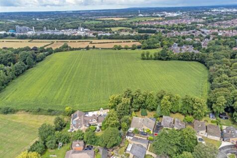 DJI_0831.jpg