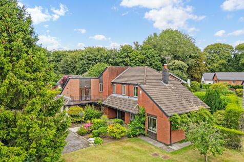 Property Image 41