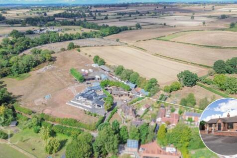 DJI_0969.jpg