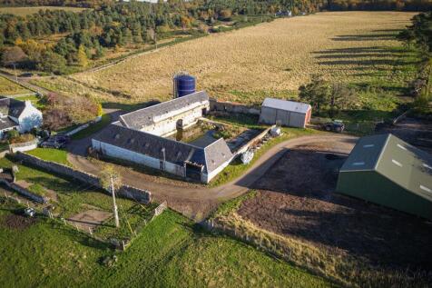 Steading