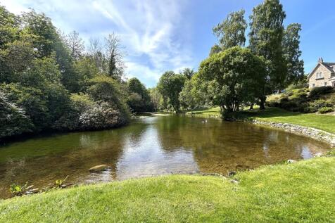 Duck Pond