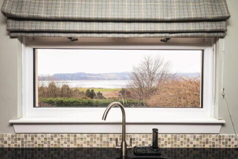 View From Kitchen