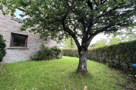 Side/rear Of Property
