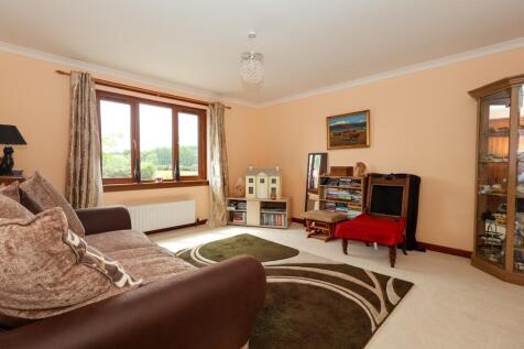 Lounge/Bedroom