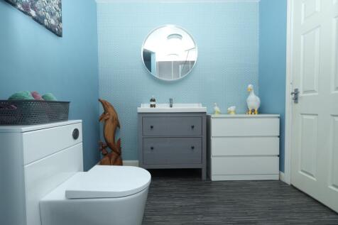 Shower Room (downstairs)