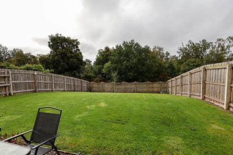 Garden 5
