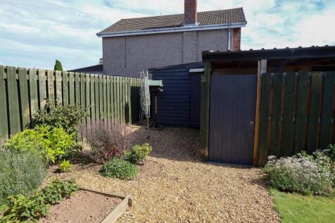 Garden 3