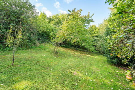 Property Image 49