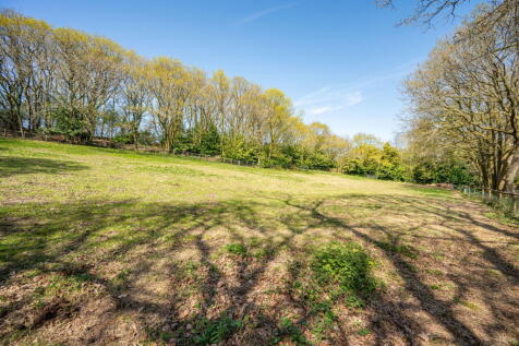 Property Image 39