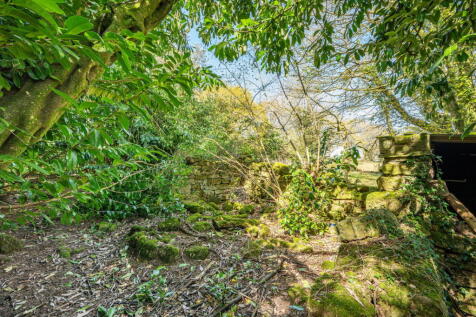 Property Image 44
