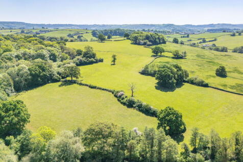 Property Image 51