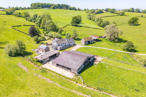 Property Image 61