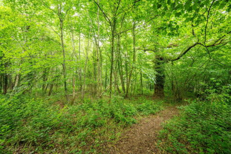 Property Image 38