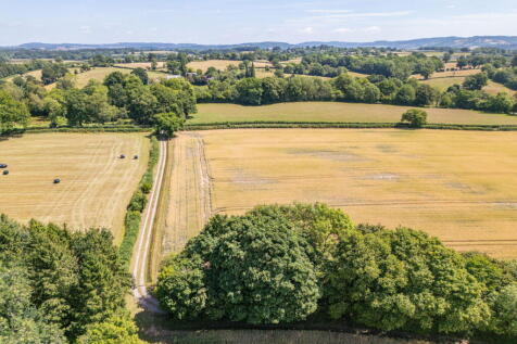 Property Image 59