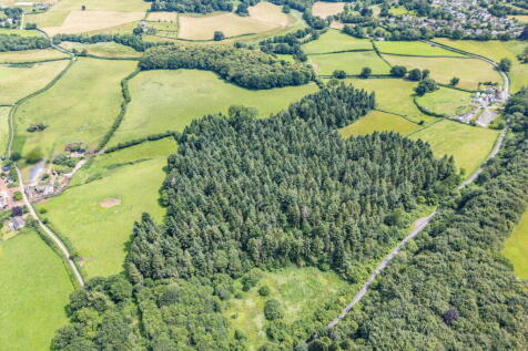 Property Image 85