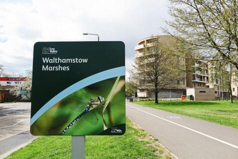 MARSHES