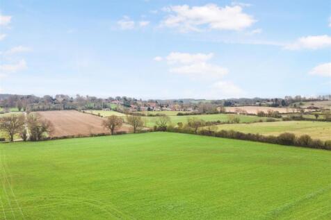 DJI_0369.jpg