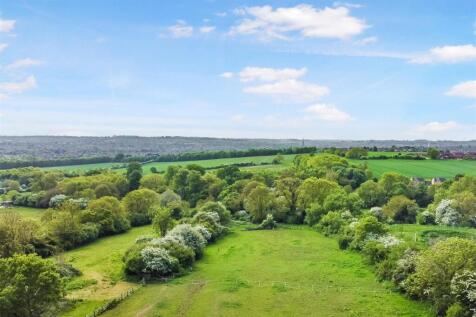 DJI_0638.jpg