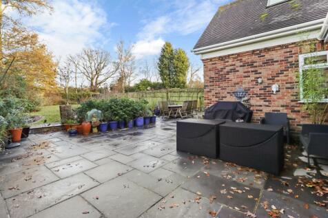 Patio Area