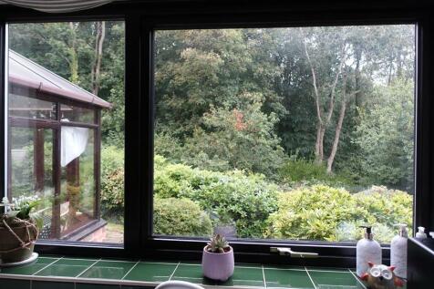 Kitchen Outlook