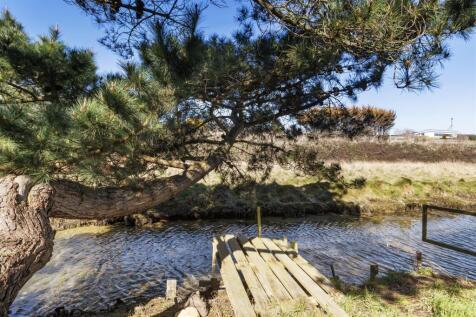 Stream
