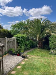 Back Garden