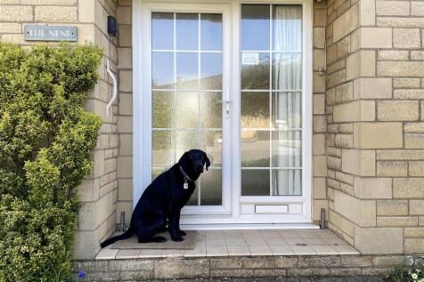 digby front door.JPG